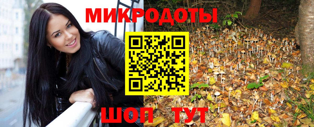 Сосновоборск  Псилоцибиновые грибы Magic Shrooms  Вход с VPN 