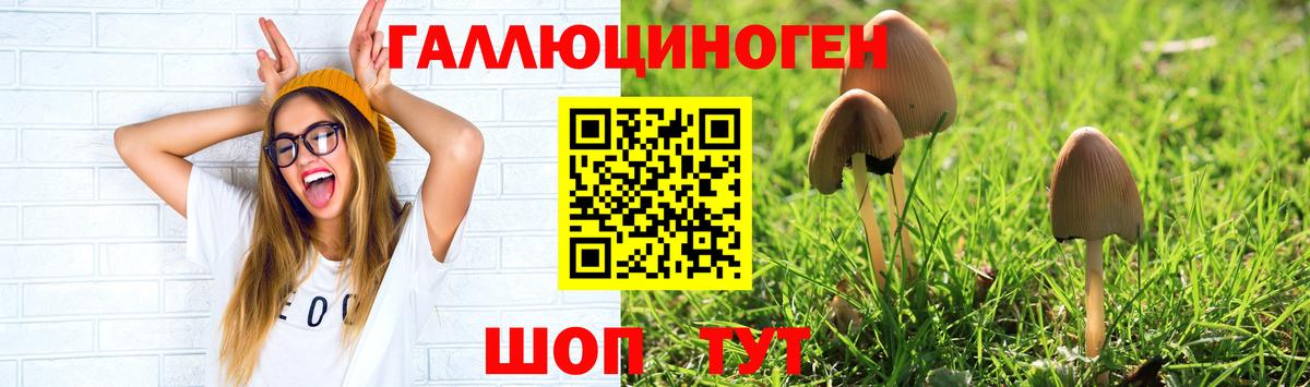 Галлюциногенные грибы GOLDEN TEACHER Сосновоборск